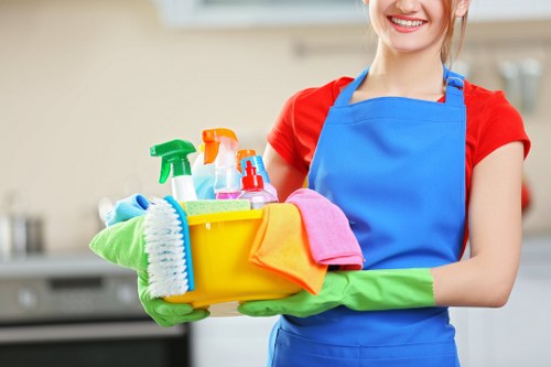 Deep cleaning professionals removing hidden dirt in a home