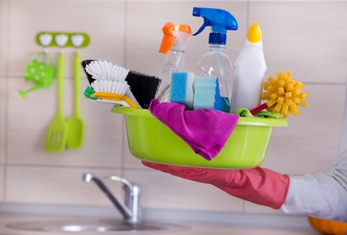Professional carpet cleaning service for homes in Deepcleaning