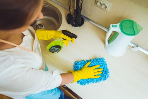 Deep cleaning professional removing hidden dirt in a home interior
