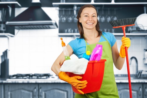 Regular home cleaning service in Deepcleaning