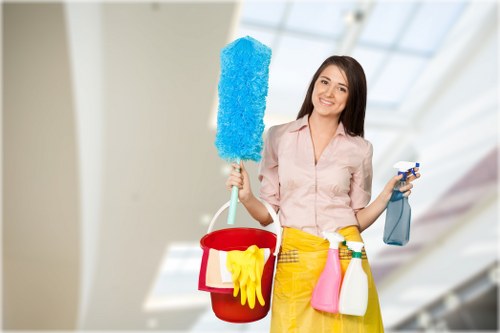 Professional deep cleaning work in a bathroom and living space