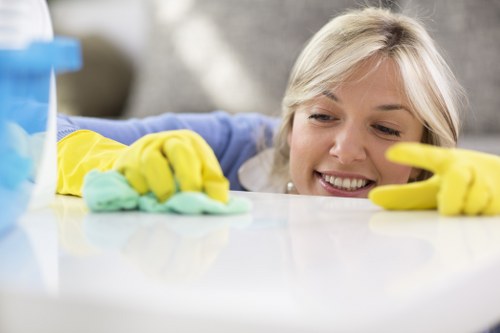 Local sofa cleaning service for residential and commercial upholstery