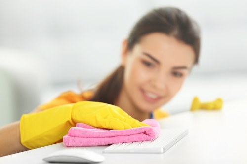 Professional cleaner refreshing a bathroom in a local property