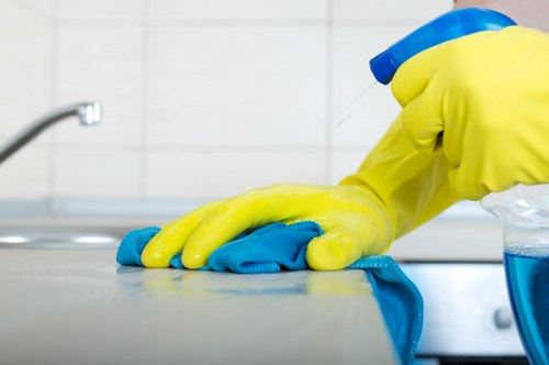 Close-up of detailed deep cleaning on kitchen surfaces and fixtures
